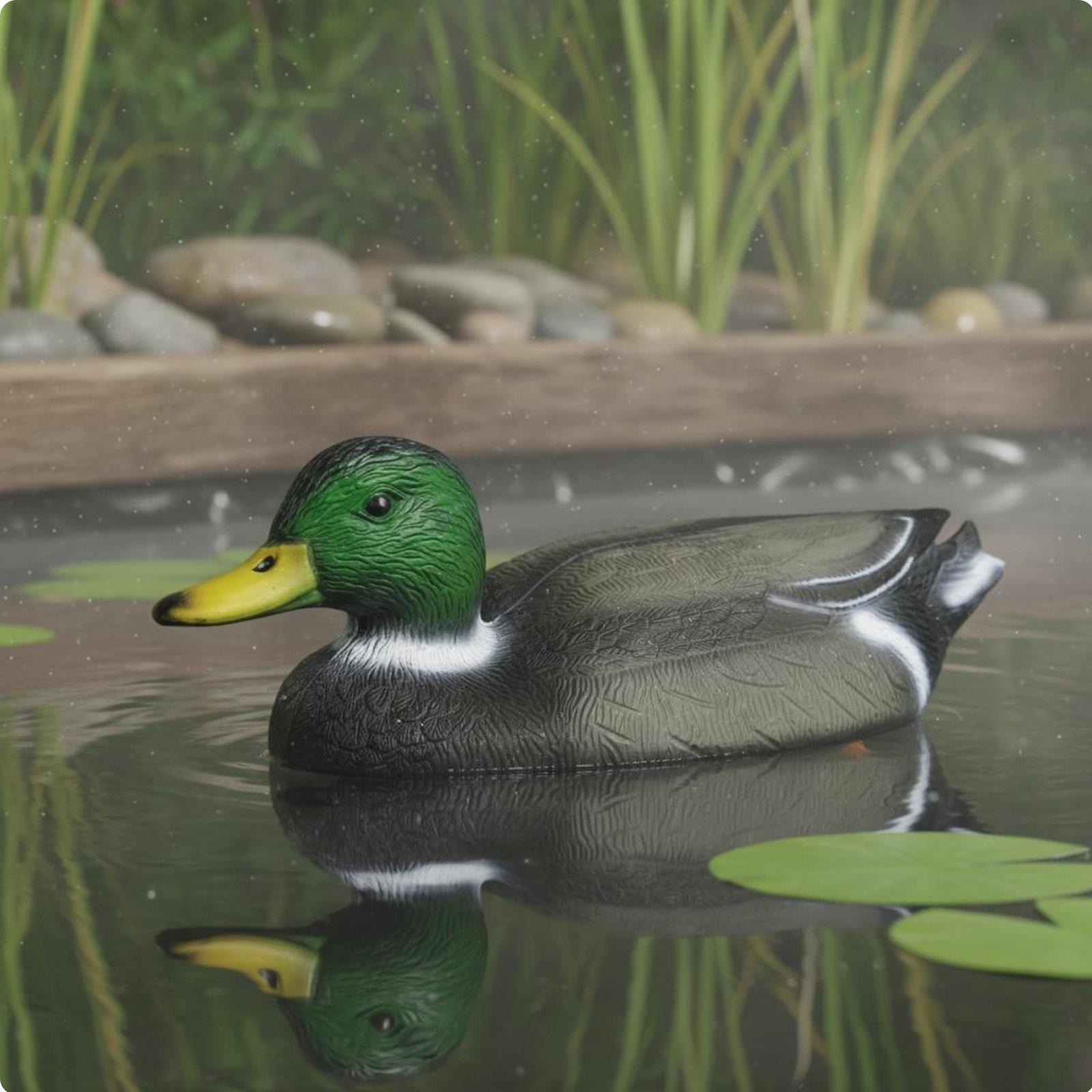 Leurre flottant réaliste en fo - Hunting & Outdoor Supplies Photos avis et prix